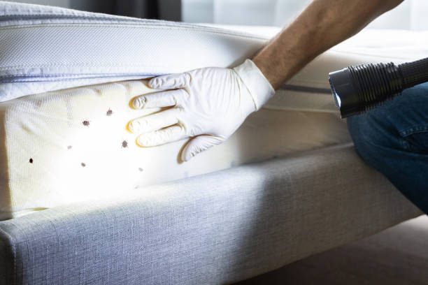 Best Commercial Pest Control Services  in Laupahoehoe, HI