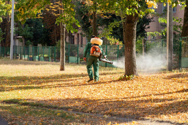 Best Local Pest Control Services  in Laupahoehoe, HI