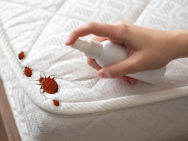 Best Residential Pest Control  in Laupahoehoe, HI